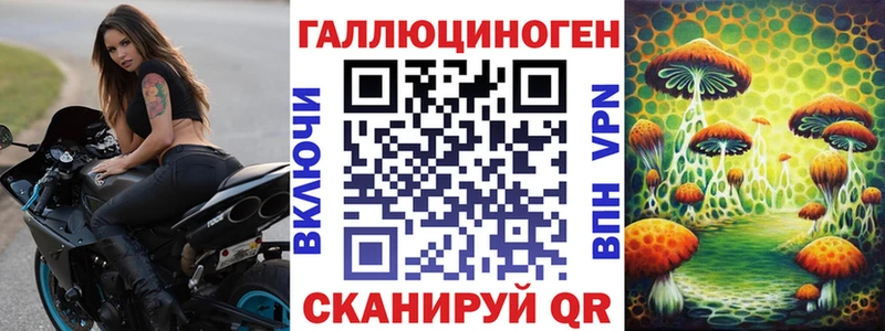 Псилоцибиновые грибы Psilocybe Краснокаменск